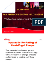 4 Hydraulic Rerating of Centrifugal Pumps