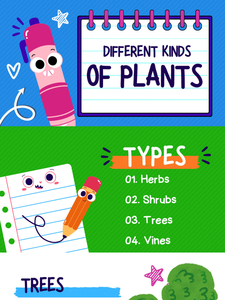 Types of Plants: Herbs, Shrubs, Trees, Vines | PDF | Home & Garden