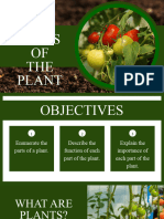 Parts of The Plant Presentation in Green Illustrative Style 20240325 193225 0000