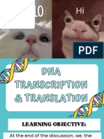 ) DNA Transcription and Translation