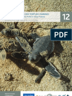 12. BV Turtle Conservation FRENCH A5 Handbook