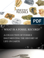 Fossils