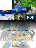 Importance of Biodiversity