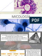 Archivo Clase 3 Micología 2023