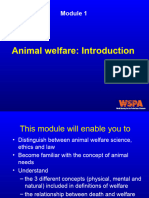 Module 1 Animal Welfare Introduction