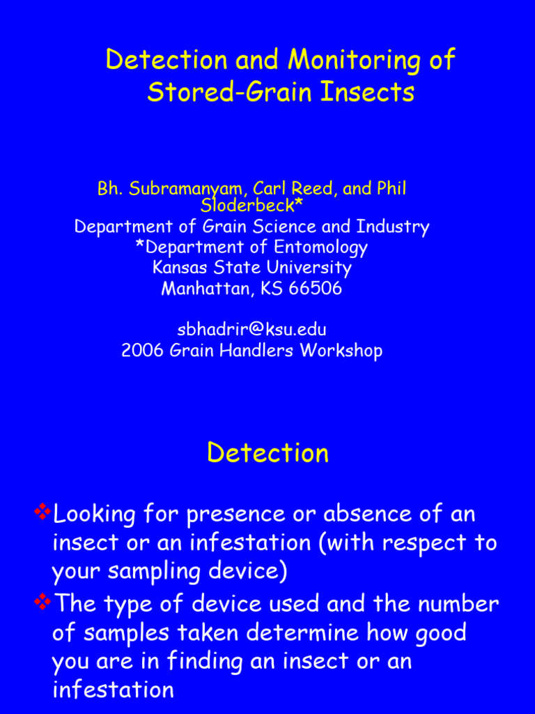 Stored-Grain Insect Detection Guide | PDF