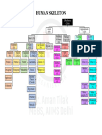 Human Skeleton All Bones Chart