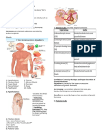 Endocrine Lesson 1 Grade 10