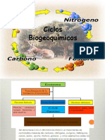 Semana 5. Ciclos Biogeoquímicos