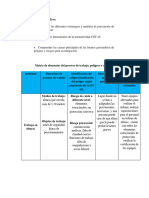 Matriz de Elementos Del Proceso de Trabajo, Peligros y Controles