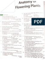 Dpp Anatomy Flowering