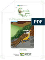 Livro Infantil Pássaro Encantado