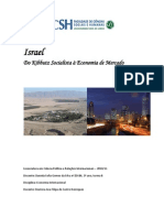 ECONOMIA ISRAELITA - Relatório 2 - Daniela Silva
