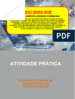 Resolução - (032 98482–3236) - Atividade Prática - Teorias e Técnicas de Diagnósticos Em Psicopedagogia