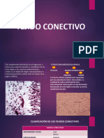 2-Tejido Conectivo-1