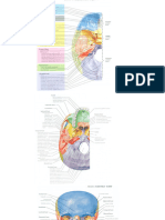 Anatomy of Skull Diagrams