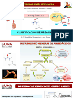 Cuantificacion de Urea en Suero