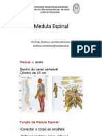 2 - Medula Espinal