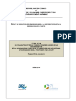 Congo BRLI (2014) Spatial Analysis of Drivers. Final Report - Sur Le Congo