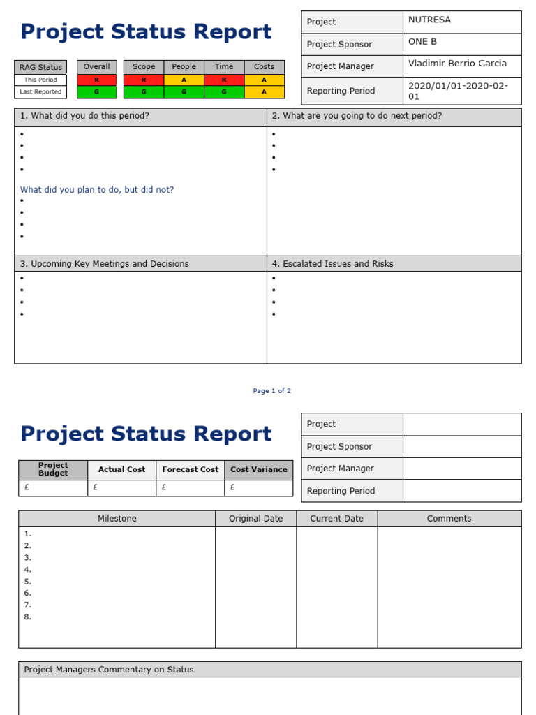 Image 4 for Daily Project Status Report Template