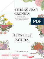 Hepatitis Aguda y Crónica