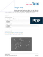 Hydrogel Protocol - Ibidi