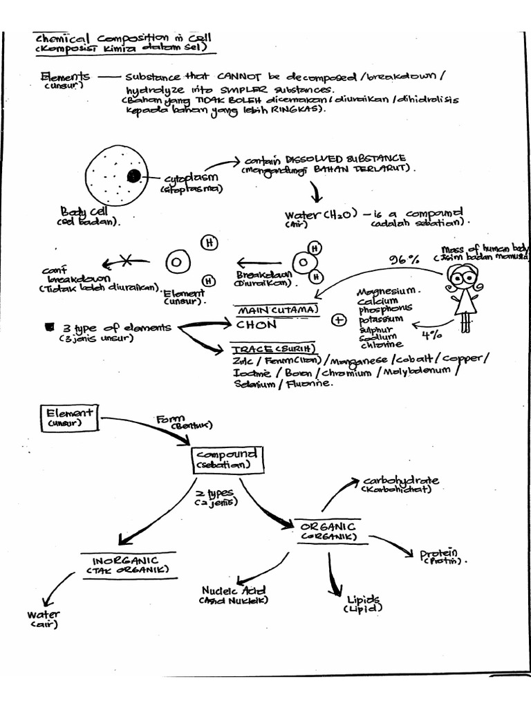 Chemical Composition in Cell | PDF