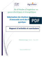 Rapport de Stage Ingenieur Energetique Valorisation Du Charbon de Coque D Anacarde Des Fours A Pyrolyse