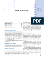 Anatomy and Disorders of The Coccyx