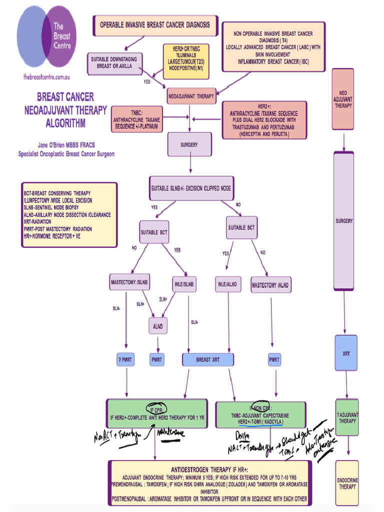 Breast Cancer Neoadjuvant Therapy Algorithm | PDF