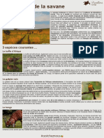 Fiche - Biodiversite de La Savane 1