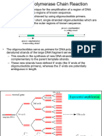 Lecture 11 Chapter 05-DNA-Amplification