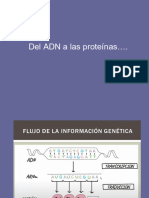 2023 Valerani TRANSCRIPCIÓN - 231004 - 105951