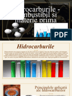 Hidrocarburile - Combustibil Si Materie Prima
