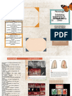 Folleto Tríptico Itinerario de Viaje Collage Beige