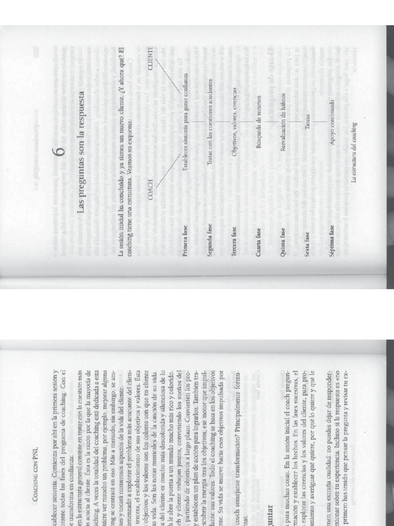 O Connor - Coaching-Con-PNL-Cap 6 | PDF