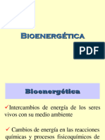 9 Bioenergética