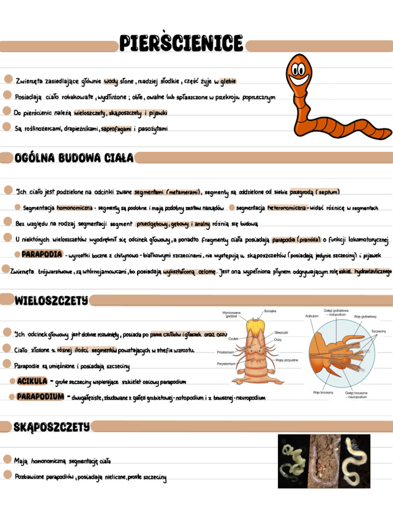 pier-cienice-bezkr-gowce-o-wyra-nej-metamerii-pdf