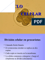 Clase 4 - Ciclo Celular - Mitosis - Meiosis-Nueva