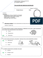 Evaluacion Ciencias Naturales Primero Básico PAUTA