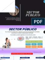 Sector Público (15) - e
