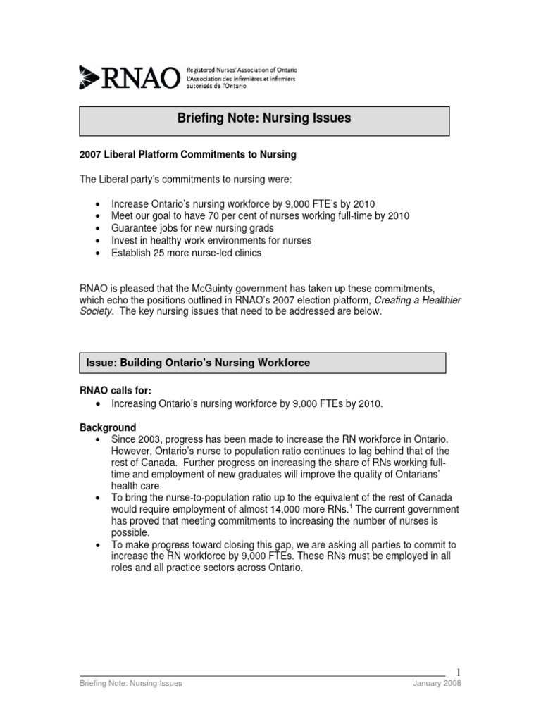Briefing Note - Nursing Issues | PDF