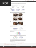 5.2 Foil Application Angles – Hair Colour for Hairstylists