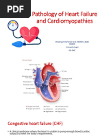 Pathology of Heart Failure and Cardiomyopathies