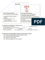 Evaluare Formativa Clasa A 6 Sistemul Circulator Si Excretor