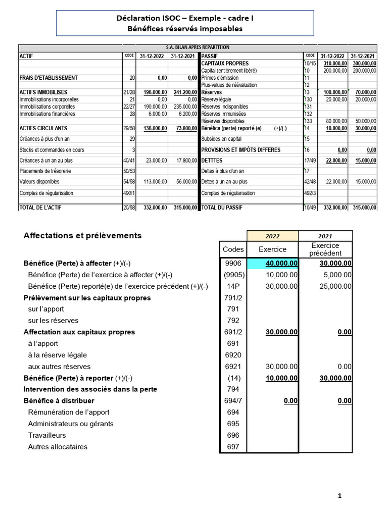 Déclaration ISOC : Bénéfices réservés | PDF | Capitaux propres ...