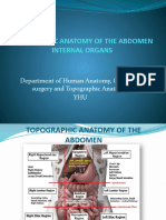 Abdomen Organ