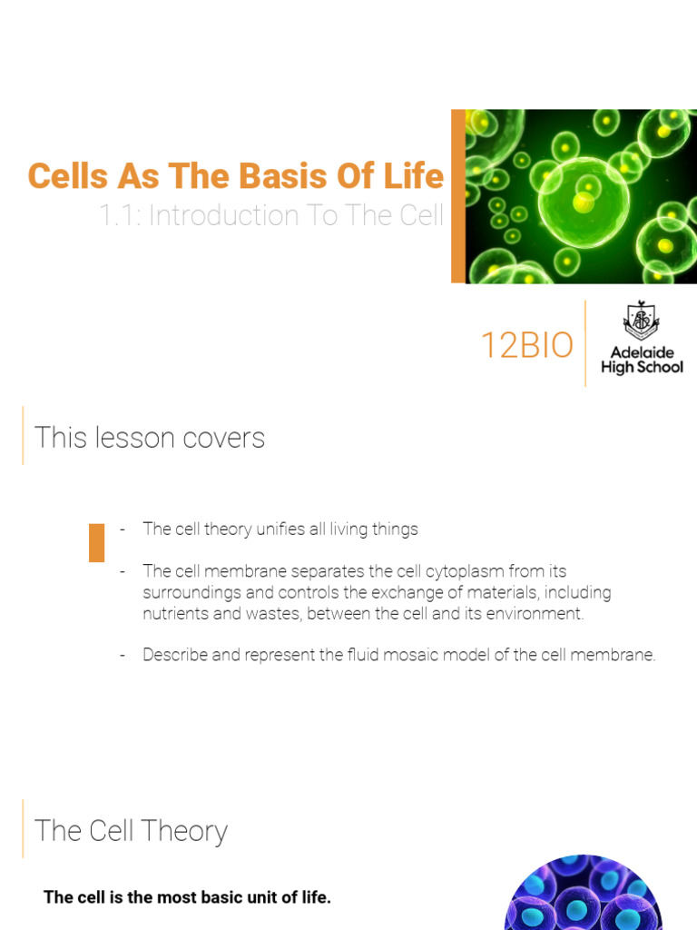 Understanding Cell Structure and Function | PDF | Cell Membrane | Cell ...