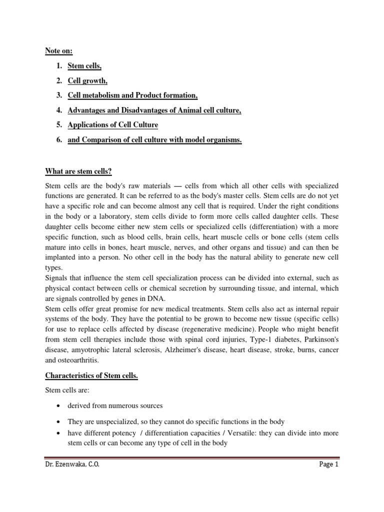 Overview of Stem Cells and Their Uses | PDF | Stem Cell | Mitosis