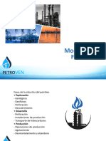 PDF Video 2 Fases